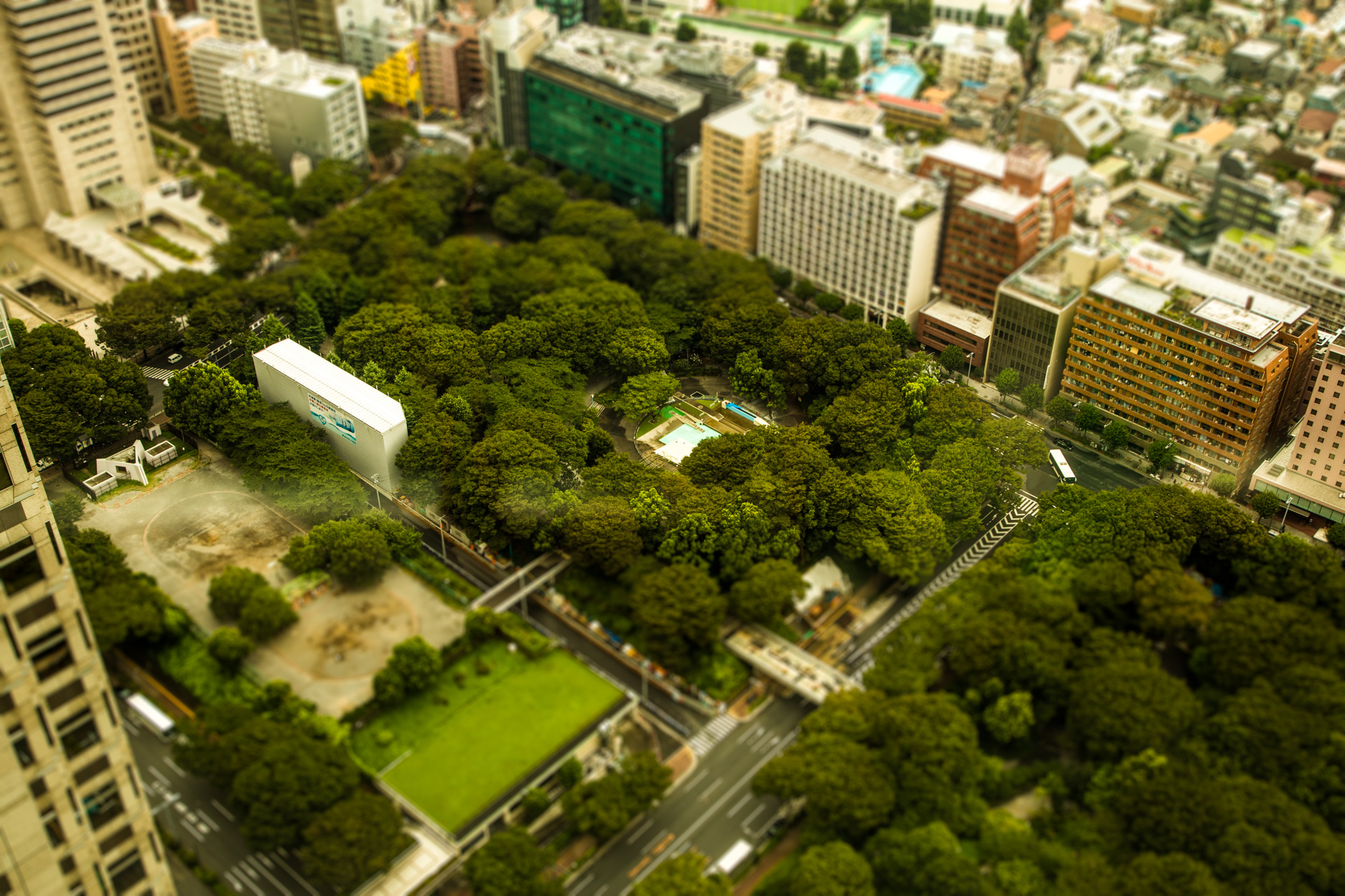 Tokyo a forest